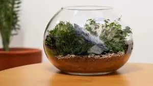 surreal selfie glass terrarium